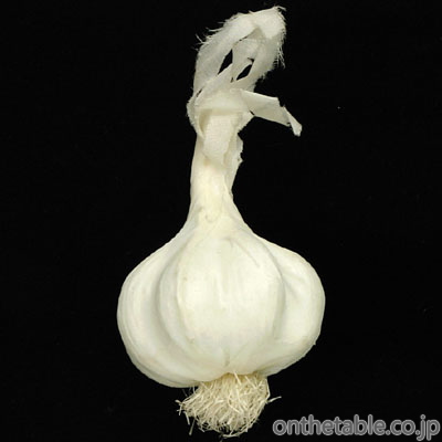 オブジェ