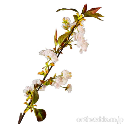 造花
