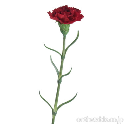 関正マスヤ 造花