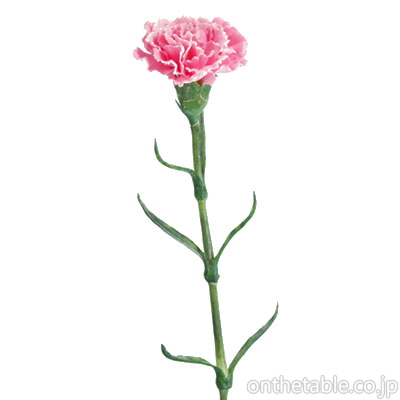 関正マスヤ 造花