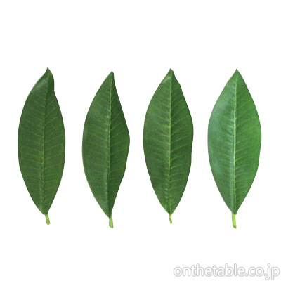 置物