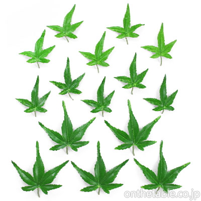 置物