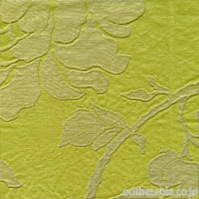 プロフラックス セノヴァ