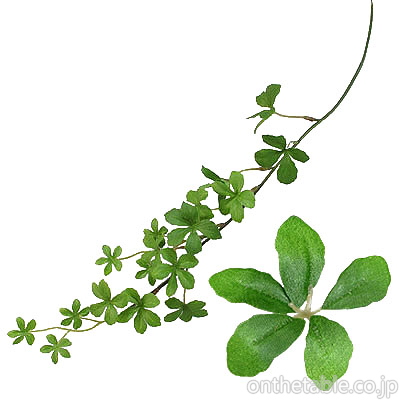 造花