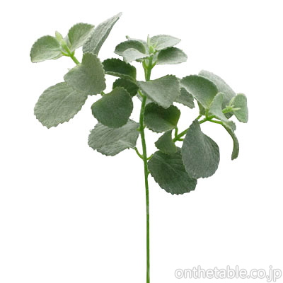 造花