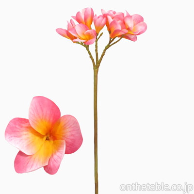 シア 造花