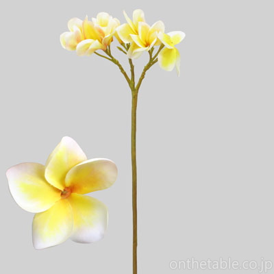 シア 造花