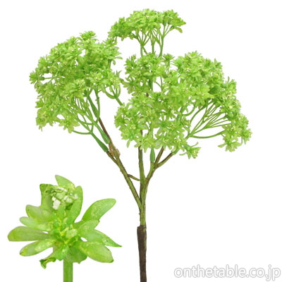 造花