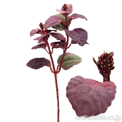 ボブクラフト 造花